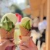 キャステル 【京都】お寺&神社巡りスポットおすすめ15選！縁結び、金運、パワースポットもたくさん！