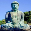 キャステル 【高徳院】鎌倉の大仏の見どころを解説！参拝料・アクセス・営業時間のほか、謎の歴史や大仏スイーツも！