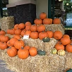キャステル 【ハワイ】10月の気温・天気・服装・イベントまとめ！格安で旅行できる&ハロウィン装飾も