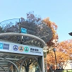 キャステル 【表参道】おしゃれな街を満喫するおすすめ観光スポット5選！1日で回れるお散歩ガイドを紹介