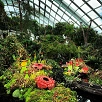 キャステル 【最新】近未来型植物園ガーデンズ・バイ・ザ・ベイの7つの魅力！シンガポールの人気観光スポットを解説