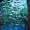 キャステル 【決定版】しながわ水族館を徹底攻略！チケット料金、割引、館内エリア、アクセス、アザラシを紹介♪