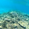 キャステル 宮古島の海を堪能しよう！絶景シュノーケリングスポット7選！ 初心者でも楽しめるビーチも