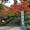 キャステル 【鎌倉】円覚寺の見どころを紹介！関東最大の鐘や迫力満点の白龍図を見に行こう！