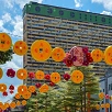 キャステル 【シンガポール】おすすめの観光時期はいつ？お祭り時期からセール時期まで一挙ご紹介！