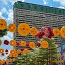 ランキング画像