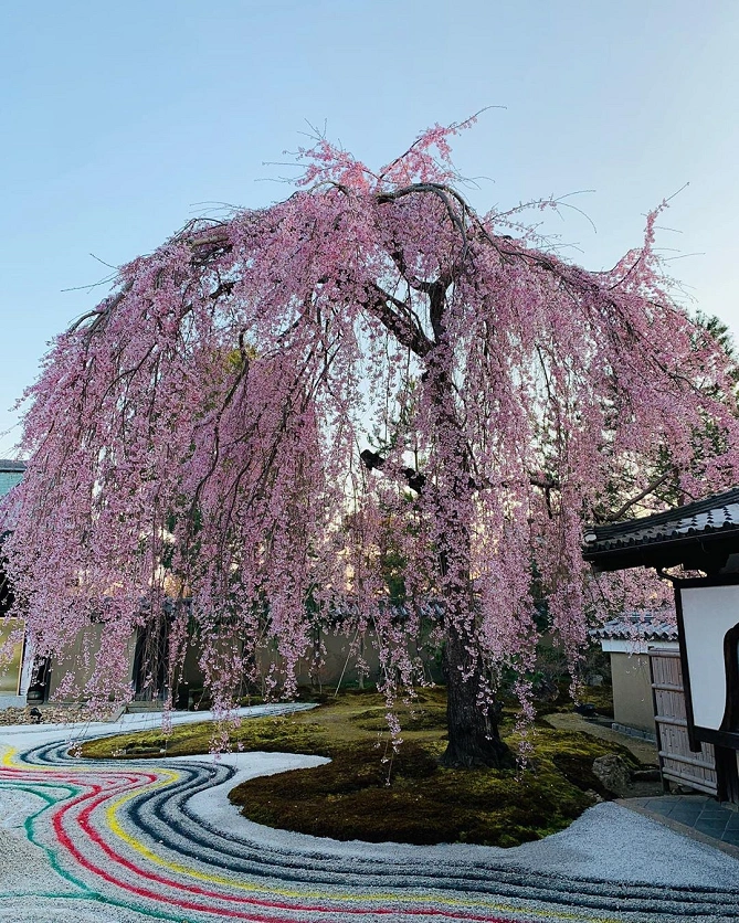 高台寺方丈庭園