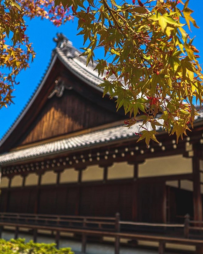 京都の天龍寺