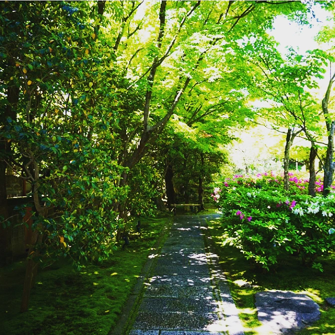 圓徳院