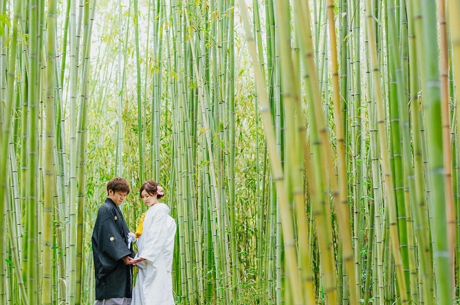 嵐山 竹林