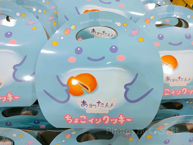 新江ノ島水族館（えのすい）お土産：チョコインクッキー