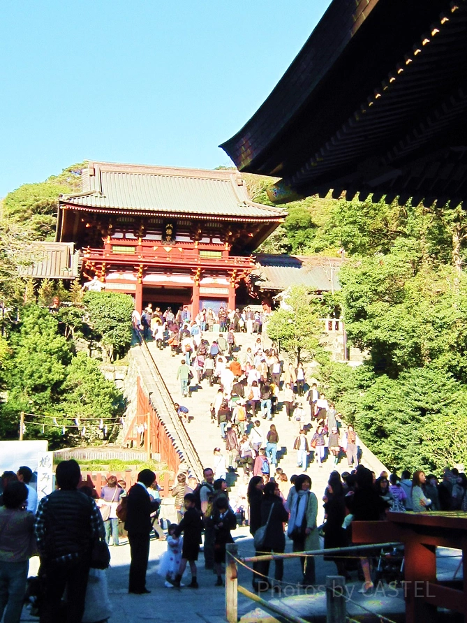 鶴岡八幡宮はどんなところ？