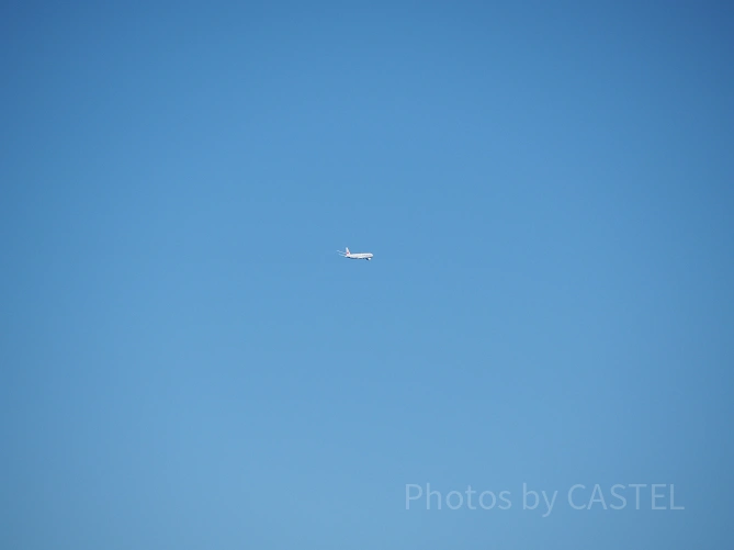 飛行機