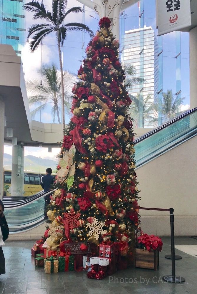ハワイ・コンベンションセンターのクリスマスツリー