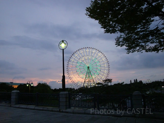 ライトアップした葛西臨海公園の観覧車