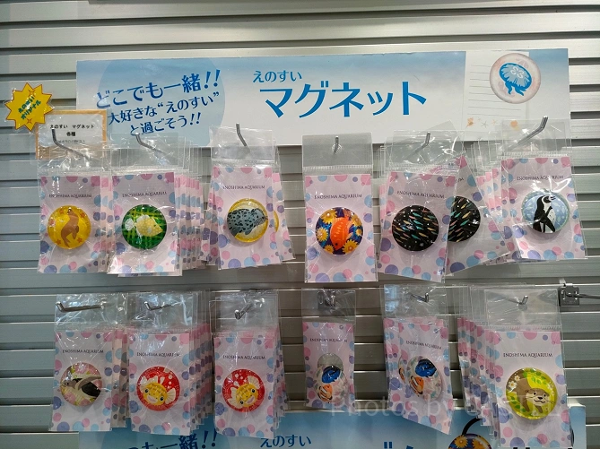 新江ノ島水族館（えのすい）お土産：マグネット