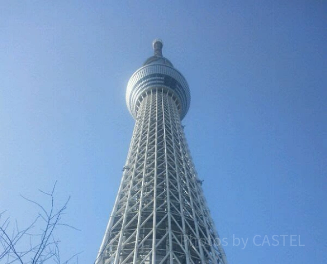 下から見上げたスカイツリー