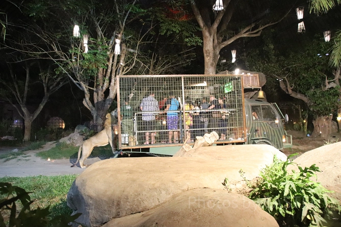 トラムツアー