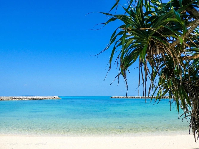 夏休みの旅行は、沖縄の綺麗な海でリフレッシュ