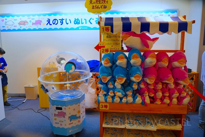 新江ノ島水族館（えのすい）お土産：いるかくじ