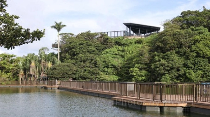池の上の橋／「沖縄こどもの国」