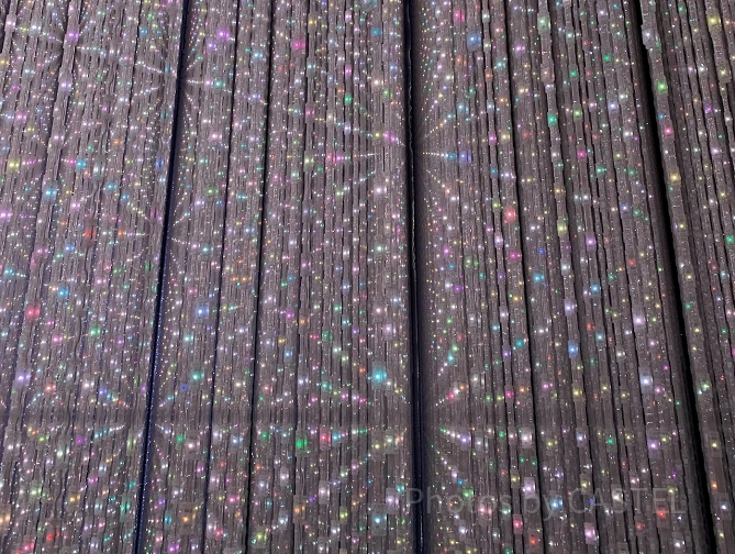 チームラボ豊洲のThe Infinite Crystal Universe