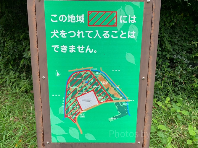 江古田の森公園のペット立ち入り区域