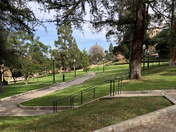 UCLAの広場