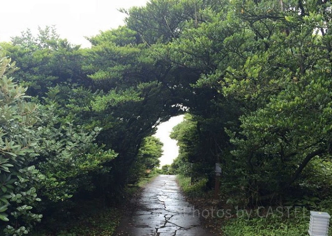 振り返るとそこには韓半島（朝鮮半島）が