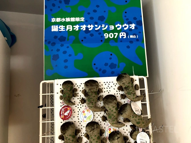 誕生月オオサンショウウオ