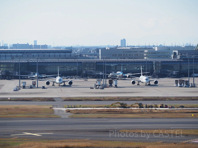 羽田空港から見える飛行機