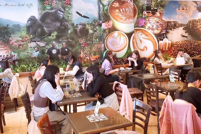 アースカフェ代官山店