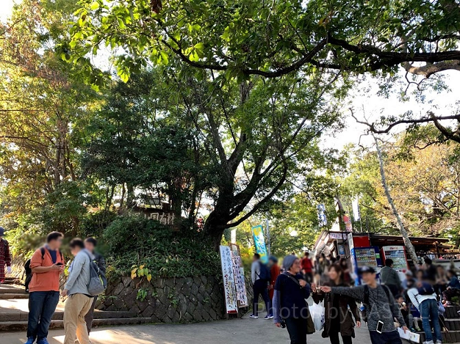 高尾山の山頂周辺