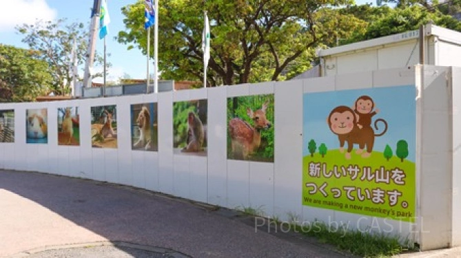 新しいサル山は工事中／「沖縄こどもの国」
