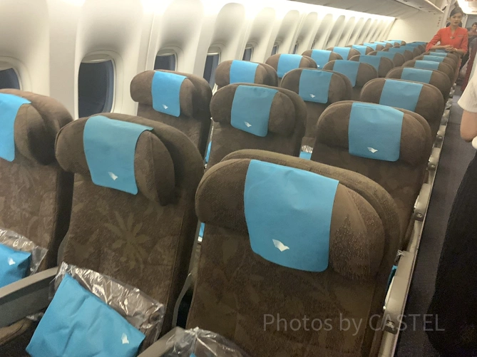 ガルーダインドネシア航空の機内