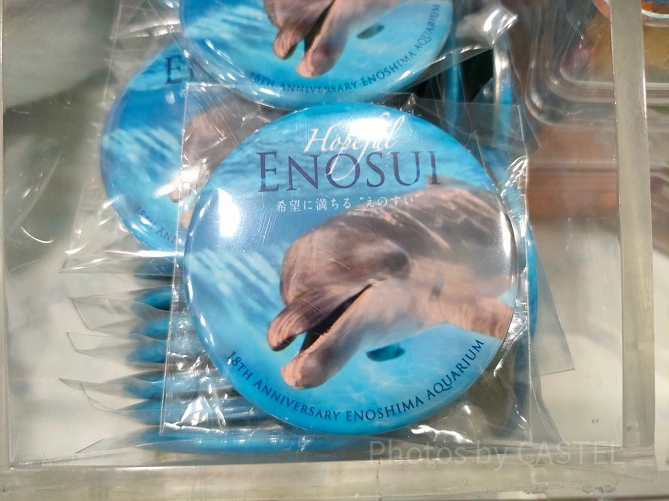 新江ノ島水族館（えのすい）お土産：缶バッジ