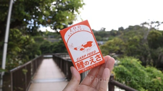 鯉のえさ／「沖縄こどもの国」