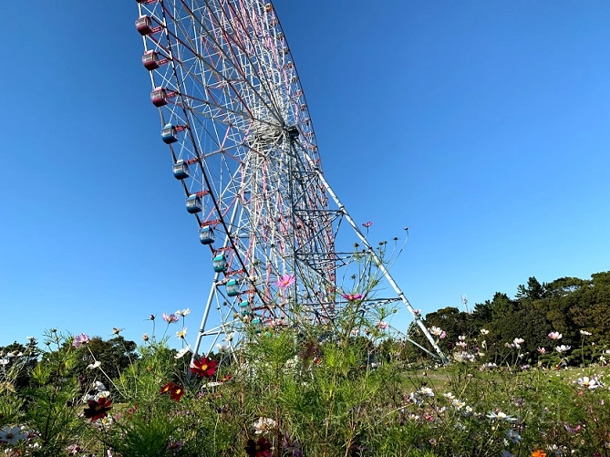 葛西臨海公園の観覧車を下から眺めた様子