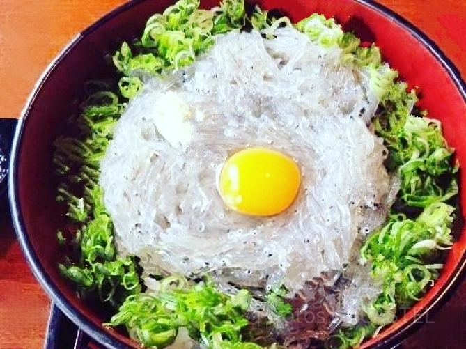 生しらすが食べられるお店4選