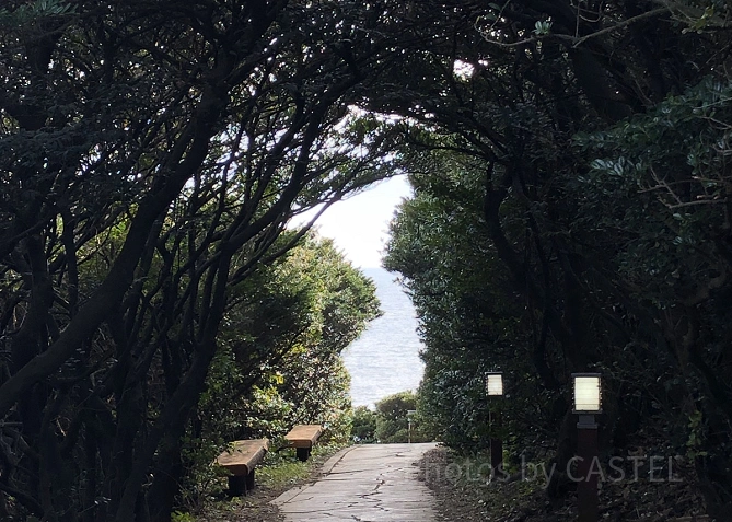 済州島の絶景スポット