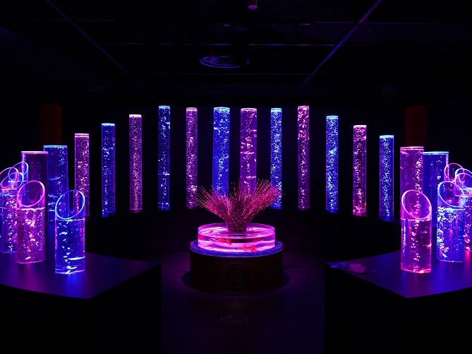 アートアクアリウム美術館 GINZAを徹底解説！金魚×芸術の展覧会！おすすめの写真の撮り方も！