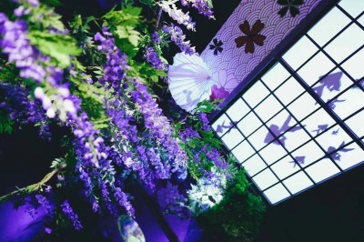 藤波と金魚ー2022ー(金魚ミュージアム)