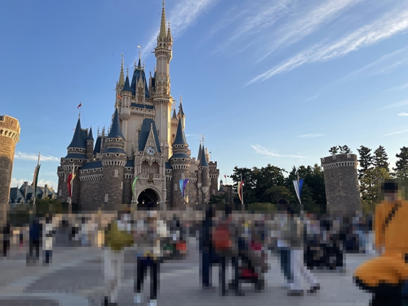 ディズニーランドの混雑時の楽しみ方