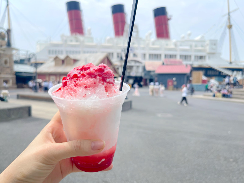 【2025】ディズニーのシェイブアイス(かき氷)全9種類！猛暑の夏にぴったり！ベイマックスかき氷も