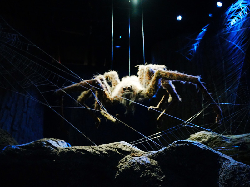 【ハリーポッター】アクロマンチュラのアラゴグはどんな魔法生物？映画での登場シーン、ハグリッドとの関係も解説