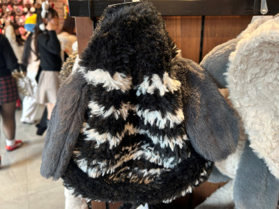 スヌーピー耳付きニットキャップ