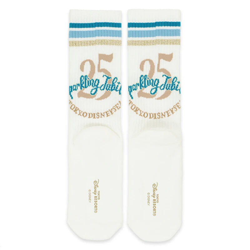 靴下(ディズニーシー25周年グッズ)