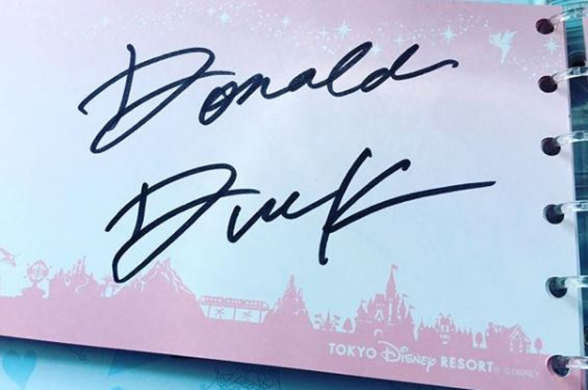 ドナルドのサイン キャステル Castel ディズニー情報