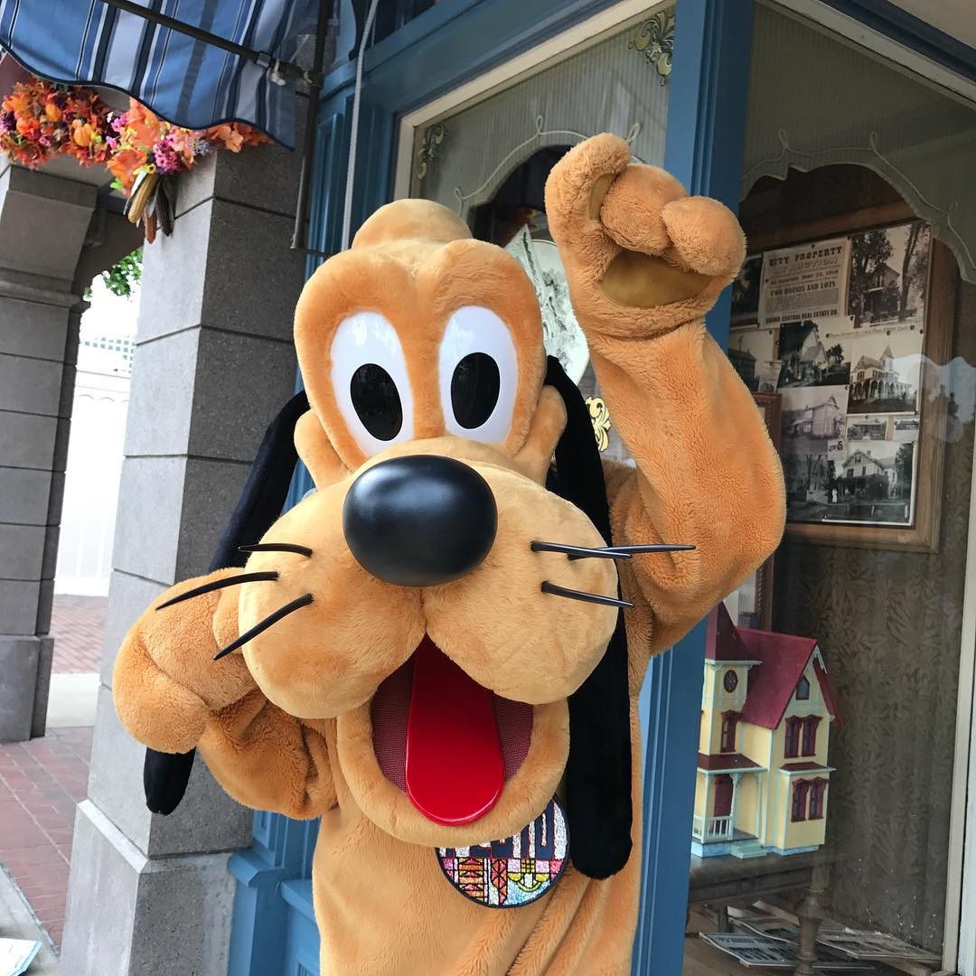 ディズニー 1泊2日 デート 福岡 個室 デート