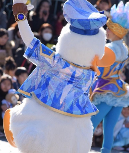 ドナルドも知ってびっくり ホテルがたくさん キャステル Castel ディズニー情報